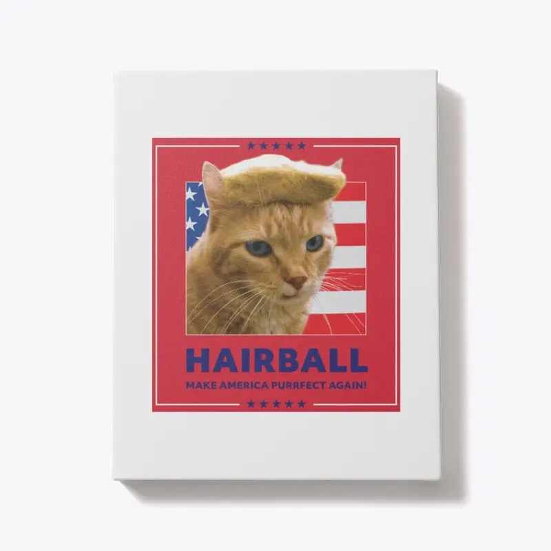 Hairball Rect Trump Red MAPA