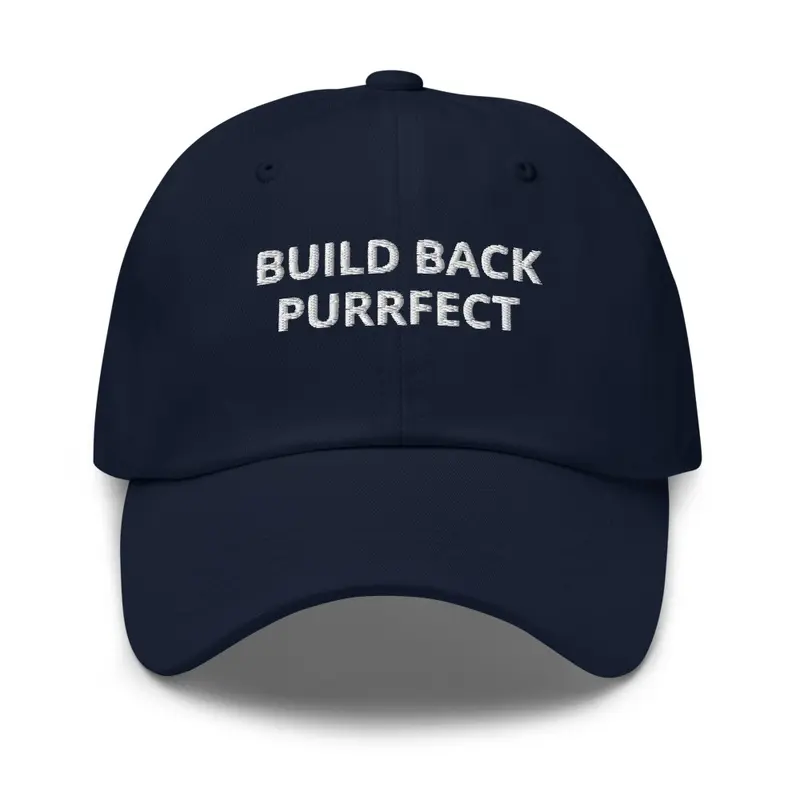 Hat-Build Back Purrfect