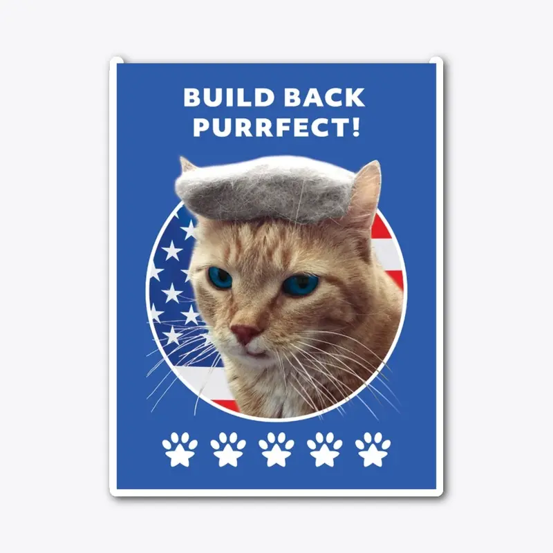 Biden Cat Merch