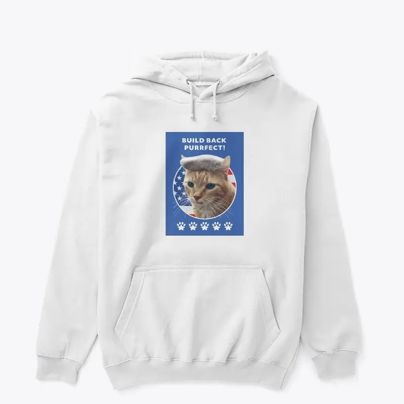 Biden Cat Merch