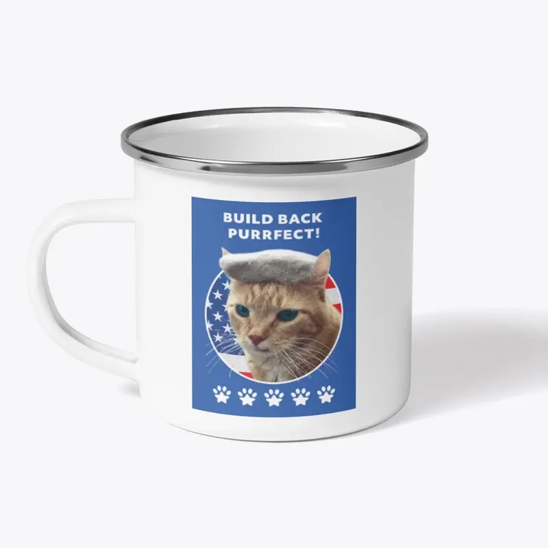 Biden Cat Merch