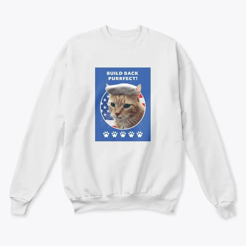 Biden Cat Merch